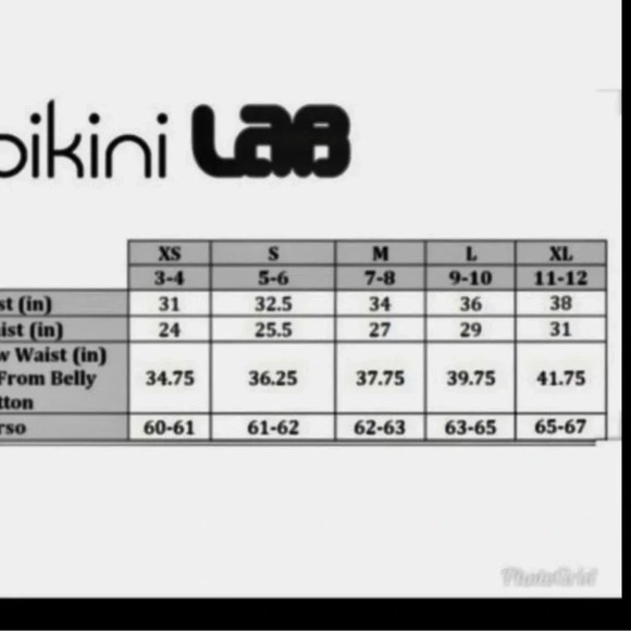 The Bikini Lab Swimsuit - Picture 3 of 6